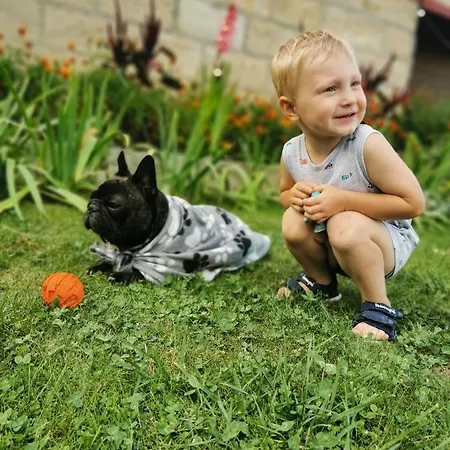 U Olgy Πανσιόν