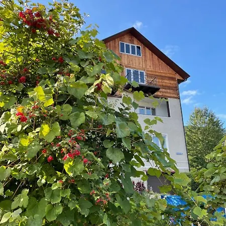 Maison d'hôtes U Olgy *
