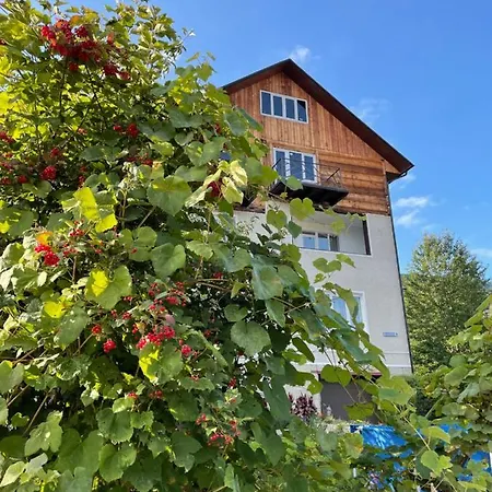 Гостевой дом U Olgy *