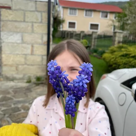 Гостевой дом U Olgy *