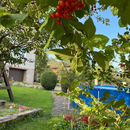 Guest house Sadyba U Olgy *