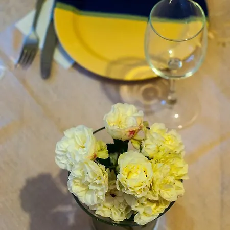 Sadyba U Olgy * Yaremche